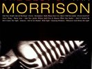 The Best of Van Morrison (LP) vinyl very good plus