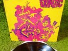 FRANTIC CONCEPTION 1970 •1st press• acid psych punk RARE MC5 Stooges The Litter
