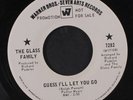 GLASS FAMILY: Guess I'll Let You Go / Agorn 45 (dj) Rock & Pop