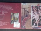 FLORENCE AND THE MACHINE - SKY FULL OF SONG, 2018 RECORD STORE DAY VINYL 7