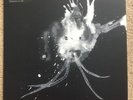 Sigur Ros - Route One - RSD 2018