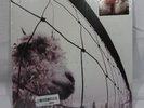 PEARL JAM Vs. 180-gram VINYL LP Sealed Eddie Vedder T1
