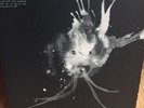 Sigur Ros - Route One LP RSD Vinyl Record Store Day 2018 Limited 1000 Jonsi Bran