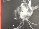 Sigur Ros - Route One RSD 2018 Limited Record Store Day in hand