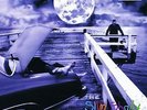 Polydor - Slim Shady LP