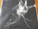 Sigur Ros - Route One LP RSD Vinyl Record Store Day 2018 Limited Jonsi