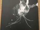 Sigur Ros - Route One LP RSD Vinyl Record Store Day 2018 Limited 1000 Jonsi