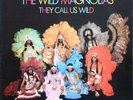 THE WILD MAGNOLIAS THEY CALL US LP French 1975