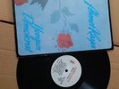 Gramophone Record ... Ahmet Kaya ... Plak .... Yorgun Demokrat...