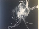 SIGUR ROS - ROUTE ONE LP VINYL RSD 18 RECORD STORE DAY 2018 LIMITED