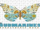 The Submarines Honeysuckle Weeks VINYL LP NEW(20THAPRIL)