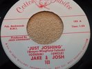 285...OBSCURE BLUEGRASS 45...JAKE & JOSH...JUST JOSHING...COTTON TOWN JUBILEE