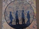 Echo & The Bunnymen vinyl Songs to Learn and Sing, PICTURE DISC LTD EDITION