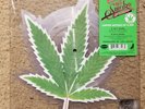 CHEECH & CHONG'S UP IN SMOKE 10