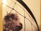 Pearl Jam VS vinyl LP used 1993 Epic Gatefold
