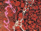 ICEAGE Beyondless LP Vinyl NEW 2018