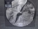 Paramore Brick by Boring Brick Picture Disc Vinyl 7