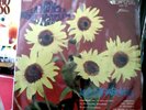 LOS GIRASOLES FIRST LP LATIN FUNK GUAGUANCO BOOGALOO DESCARGA RARE PERU LP