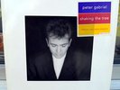 Peter Gabriel ?