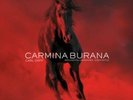 CARL ORFF CARMINA BURANA, 0825646494248