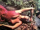Roxy Music Stranded Vinyl Album AU 1st Pressing