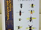 Japan Odeon LP  Syd Barrett/Barrett  OP-80173  Free Shipping