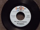 northern soul THE MARVELLS What About The Mountain? FINER ARTS  M-  Listen
