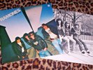 RAMONES   LEAVE HOME. Orig 1977 UK vinyl LP. Punk. M-/M.