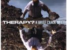 THERAPY (ROCK GROUP) A Brief Crack Of Light LP VINYL UK Global 2012 10 Track
