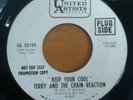 RARE ( GARAGE SOUL 45 ) 1967 - TERRY AND THE CHAIN REACTION - KEEP YOUR COOL