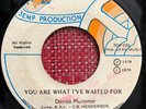 DENISE PLUMMER - You Are What Ive Waited For / ISLAND FUNK BOOGIE 45