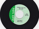 The MERSEY BEATS U.S.A. Nobody Loves Me That Way 1967 KY. Garage Punk HEAR