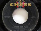 JO ANN GARRETT-A WHOLE NEW PLAN ON CHESS NORTHERN 45-HEAR