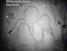 Kate Bush 50 Words for Snow 2LP 180 gram + booklet New