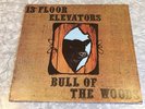 13TH FLOOR ELEVATORS “Bull Of The Woods