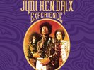 The Jimi Hendrix Experience (8-Lp Vinyl Box Set) [Vinyl LP]