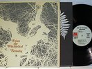 Rare Folk Rock LP - The Strawbs - From The Witchwood - A&M # SP 4304- Promo/ WLP