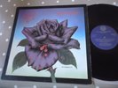 RARE SOUTH AFRICA VINYL LP NM THIN LIZZY BLACK ROSE STAR5074 TOP AUDIO VERTIGO