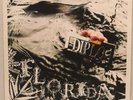 Diplo ?– Florida LP 2 x Vinyl Record Hip Hop  Electronic 2004 Big Dada UK BD069
