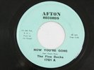 The Five Bucks 1701 & Ethics Vent 45 RPM Afton Record Vinyl