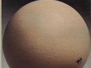 Egg The Civil Surface - EX vinyl LP album record UK C1510 CAROLINE 1974