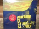 BRAND NEW SEALED RARE - AMERICA IS DYING SLOWLY 1996 VINYL RECORD RAP Wu Tang 