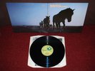 BABE RUTH Amar Caballero LP 1974 HARVEST 1st Press  MINT  EARLIEST EVER