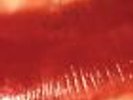 Kiss Me, Kiss Me, Kiss Me [LP] by The Cure - Original Canadian Promo  Elektra