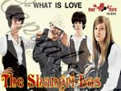 60S US R/B GIRL GROUP RED BIRD THE SHANGRI-LAS LEADER OF THE PACK PICTURE SLEEVE