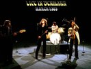 LED ZEPPELIN Live In Denmark March 1969 great sound quality gatefold UK VINYL