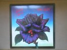 THIN LIZZY BLACK ROSE VINYL LP PIC-LYRIC INNER ORIG UK VERTIGO 1979 EX