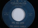 Country Bopper 45 SNEED FAMILY Big, Big Love CASCADE HEAR