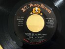 Psych THE SCENE You're In A Bad Way / Scenes B.T. PUPPY 45-533 NM- PROMO