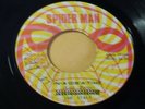 THE ITALS - IN-A-DIS-A-TIME / ROOTS REGGAE 7